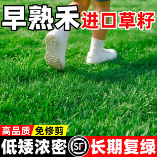 ����̲����o�¹����ļ�����߅�¾G���������B�;G�伾�Ͳ�ƺ�N��