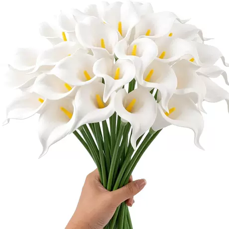 White with yellow core