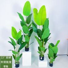 GֲB߶p҃ȴؔ[b˽ֲﻨ쾰