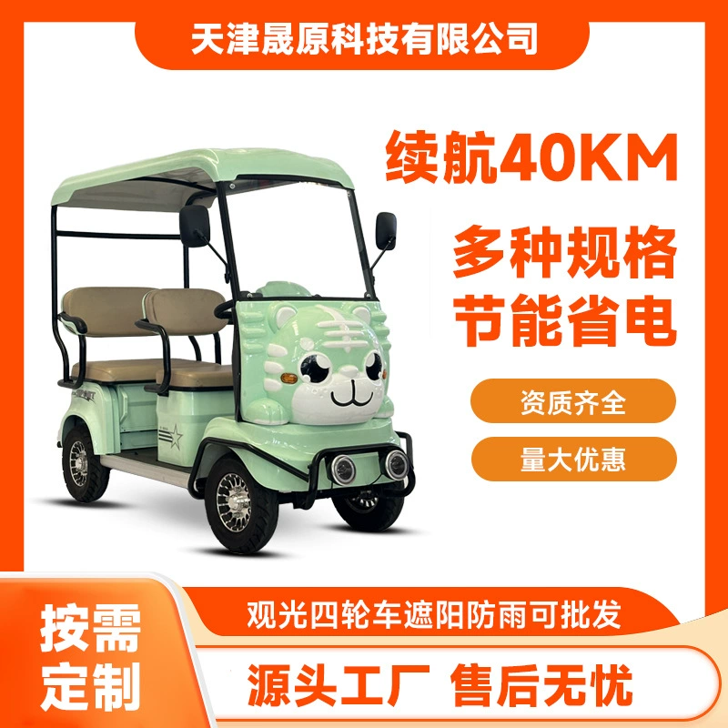 Электрический обзорный автомобиль Туристическая живописная местность