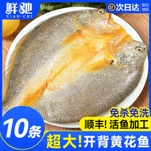 �S�~���_�����r����S���~������S�~���r��С�S�~�������ð��Ʒ