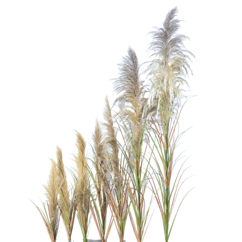 玄硕仿真芦苇干花假花北欧风客厅玄关插花橱窗隔断装饰绿植造|undefined