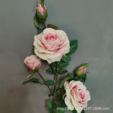 �����¼���֧5ͷõ�����ڼٻ����ϻ�������������װ��Ʒ