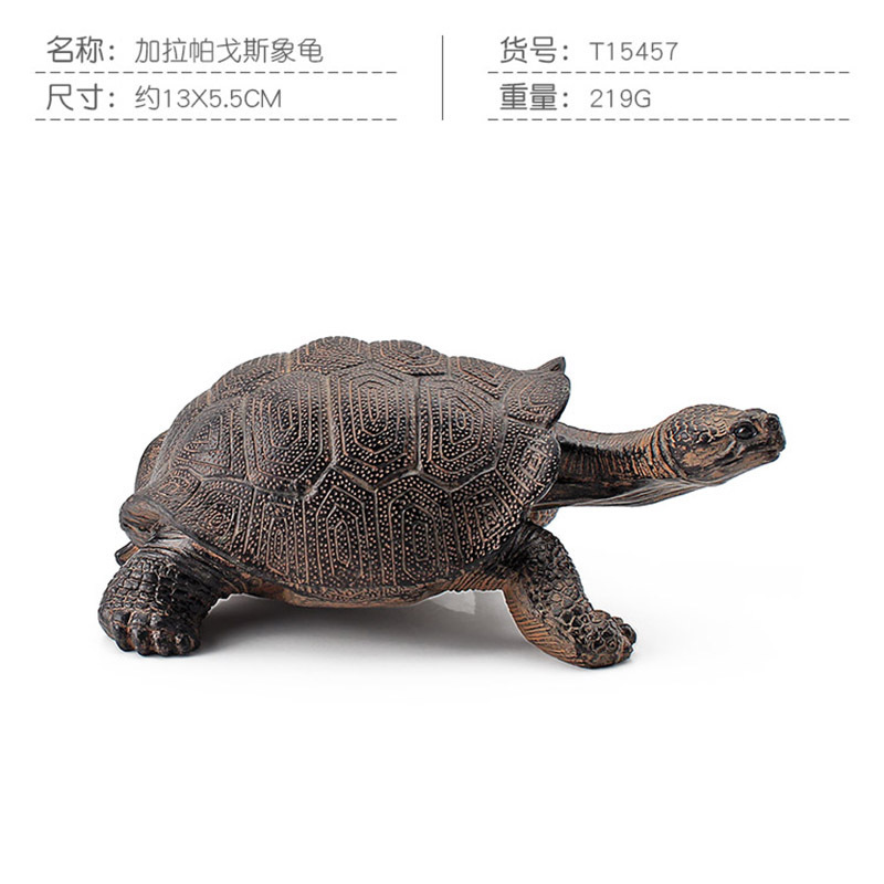Transfronteriza Nueva simulación anfibio reptil modelo tierra tortuga elefante tortuga estrella tortuga estática decoración cognitiva decoración juguete