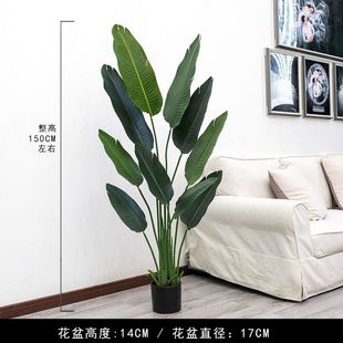 WGֲ˽Ԕ[͏dbپGֲ҃ؼ٘[O