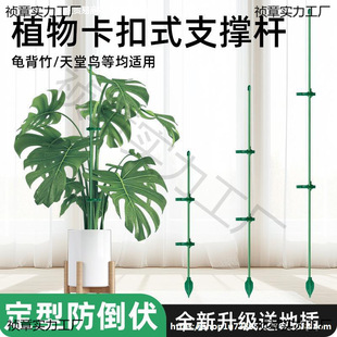 ���X���֧��֧�ΗUֲ�������B����������̶����������Tؐ��