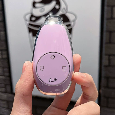 Car key bag Case 2021 Model C11S01 Car - leapmoon-model-a-smart-4-button-single-shell-purple