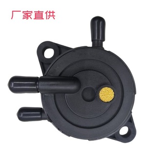 Bailitong Fuel Pump Ultrasonic Welding Lawn Mower Motorcycle Negative Pressure Oil Pump Gasoline Pump Factory Direct Sale