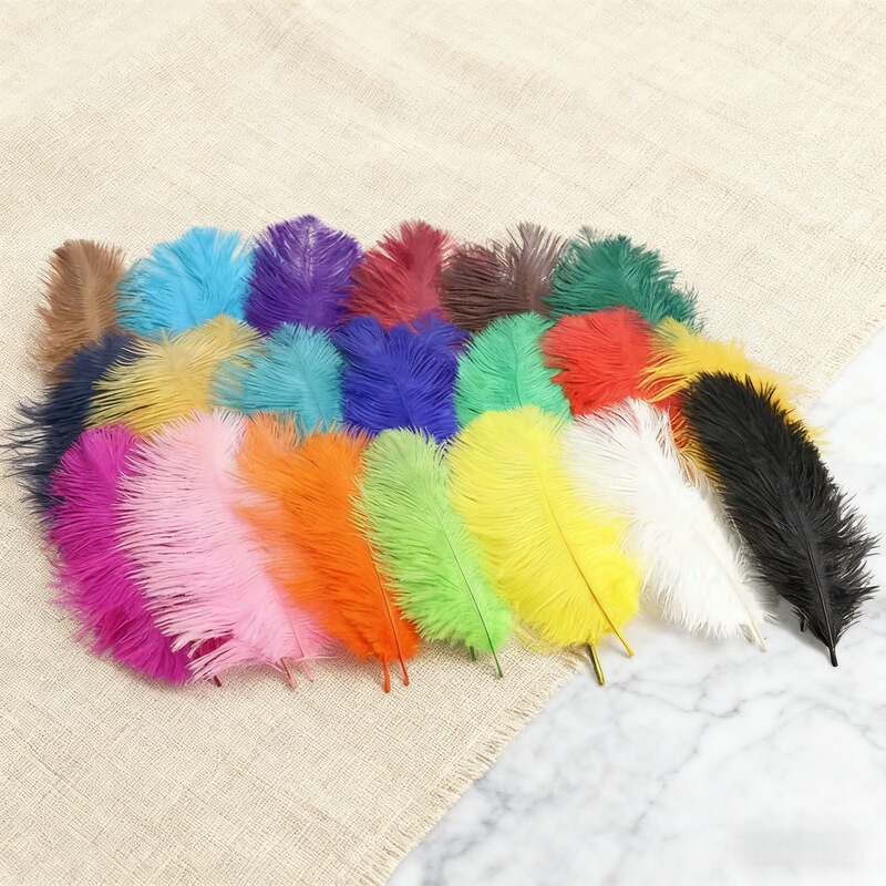 Cross-Border Shipping of Ostrich Feathers 15-20cm DIY Materials Clothing Accessories Cross-Border Shipping Wedding Props Ostrich Feathers Cross-Border Shipping of Ostrich Feathers 15-20cm DIY Materials Clothing Accessories Cross-Border Shipping Wedding Props Ostrich Feathers