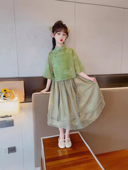 Girls Jiangnan Water Town Spring and Summer Hanfu 2024 New Children's Advanced National Style Skirt Children's Chinese Disc Button Suit