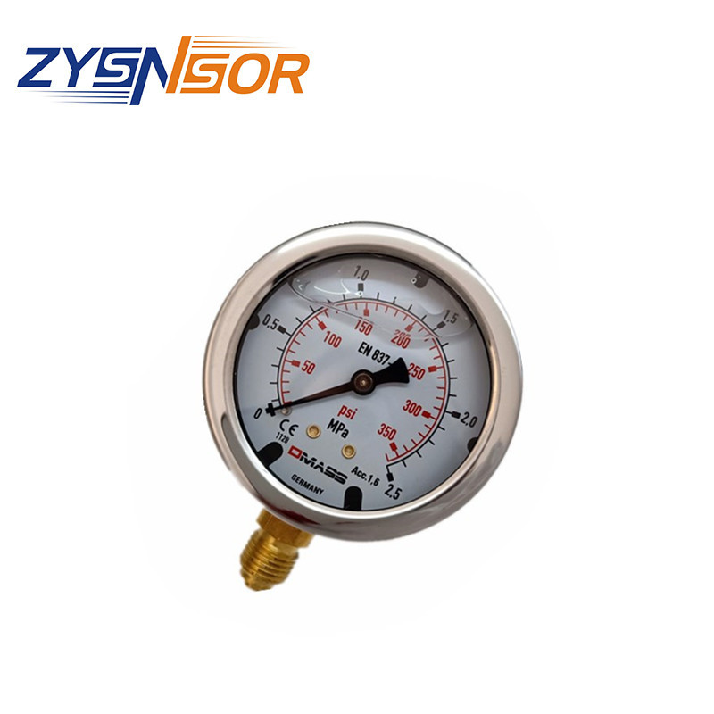 德国DMASS压力表  MBB06B-25-1-ZZZ 径向 63MM表径