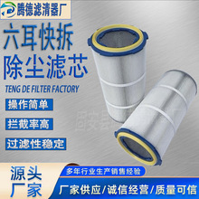 工业六耳除尘滤筒喷塑粉末过滤器涂装喷砂抛丸机聚酯纤维喷涂滤筒