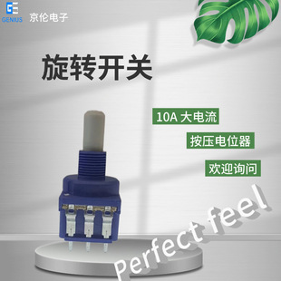 High-Voltage Switch Control Dimming Plastic Adjustable Resistor High-Power Band Pressure Switch Potentiometer Manufacturer
