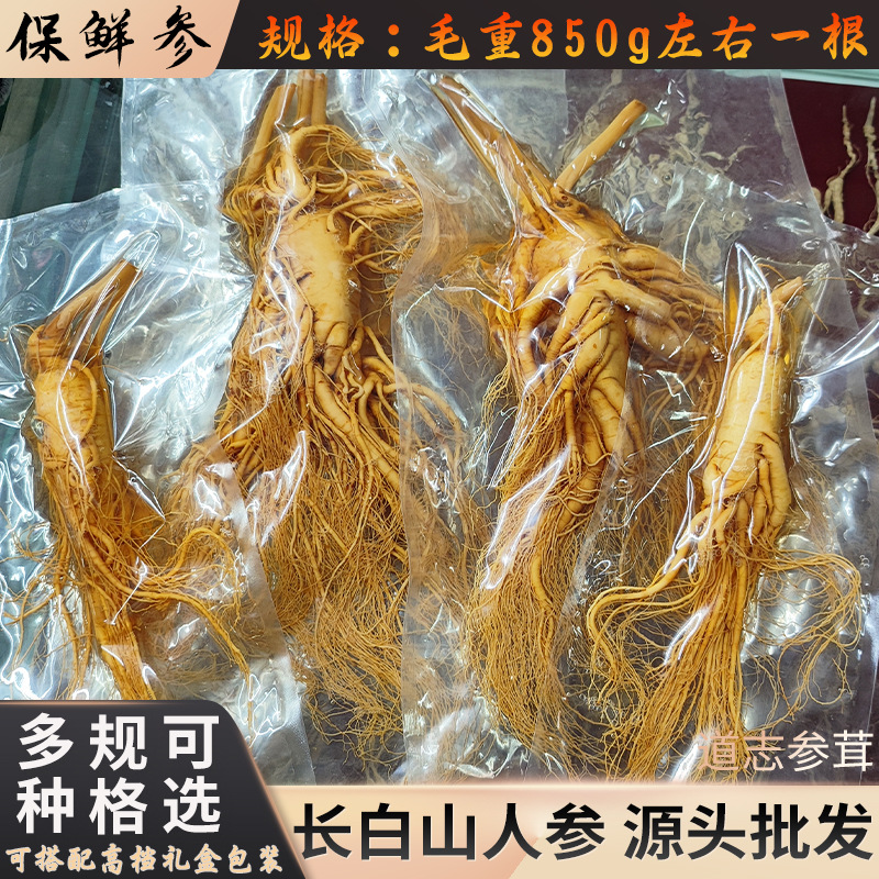 人参长白山新鲜东北特产泡酒特大号整根批发吉林鲜人参礼盒保鲜参