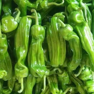 ���r������Ƥ�ཷʏ��΢����Ƥ�����˽��r���ԷN�߲˲����Fժ���l