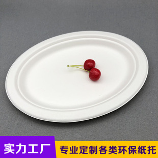 Dongguan Paper Plastic Customization Factory Mold Manufacturer Environmentally Friendly Sugar Cane Pulp Oval Paper Tray Wet Pressed White Pulp Lining