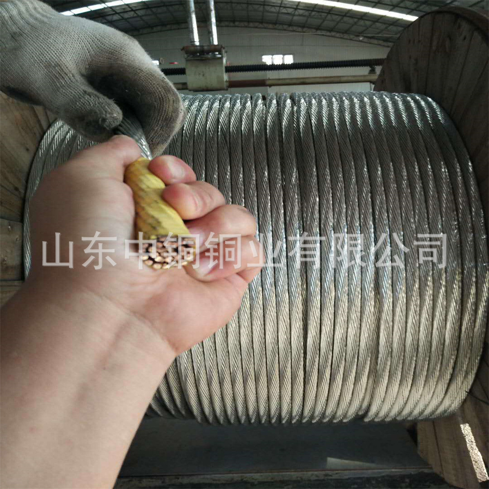 变电所换流站防雷接地 镀锡铜绞线 铜绞线120mm2 主网接地及引线