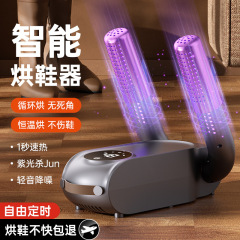 新款跨境欧规烘鞋器家用速干定时干鞋神器电商便携式烘鞋外贸礼品