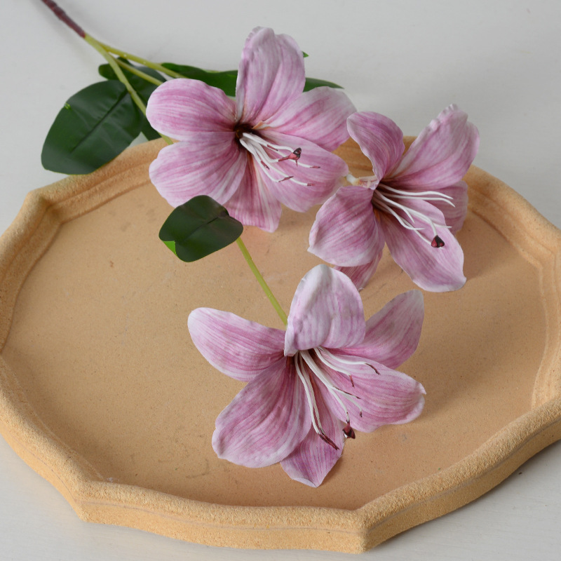 Hemerocallis lirio morado claro