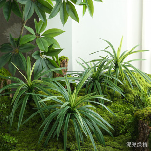 �����~�ӾG�~�����J�C���m�F�Ҿӈ@���b��̈������ü��~�ӾGֲ