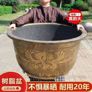 �ش�̖�����֬�Ӻ�����F������̨ͥԺ�N�仨���B�ɻ�������