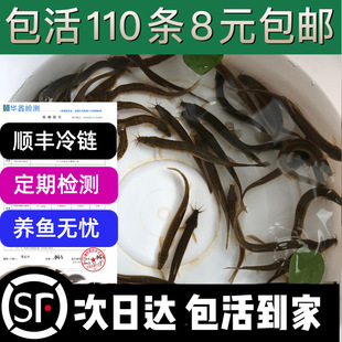 ̨��С���q�����q�~�r��������~���~���~���q����~�N���Bֳ�~��
