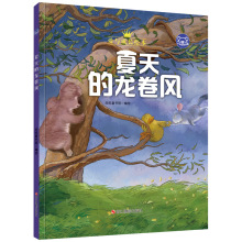 硬壳绘本图书幼儿园专用夏天的龙卷风浙江摄影出版社品悦童书馆著