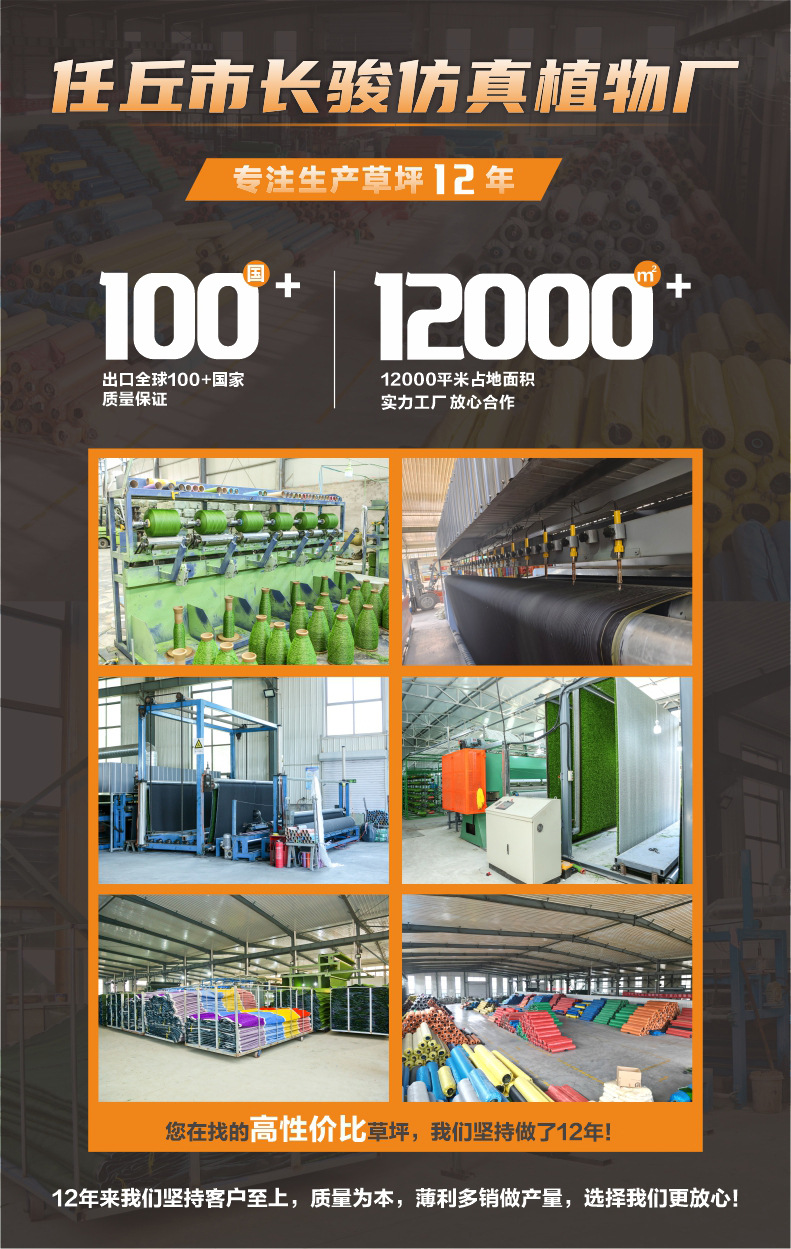 O1CN01wy14qo207pEaeu7C8_!!2467