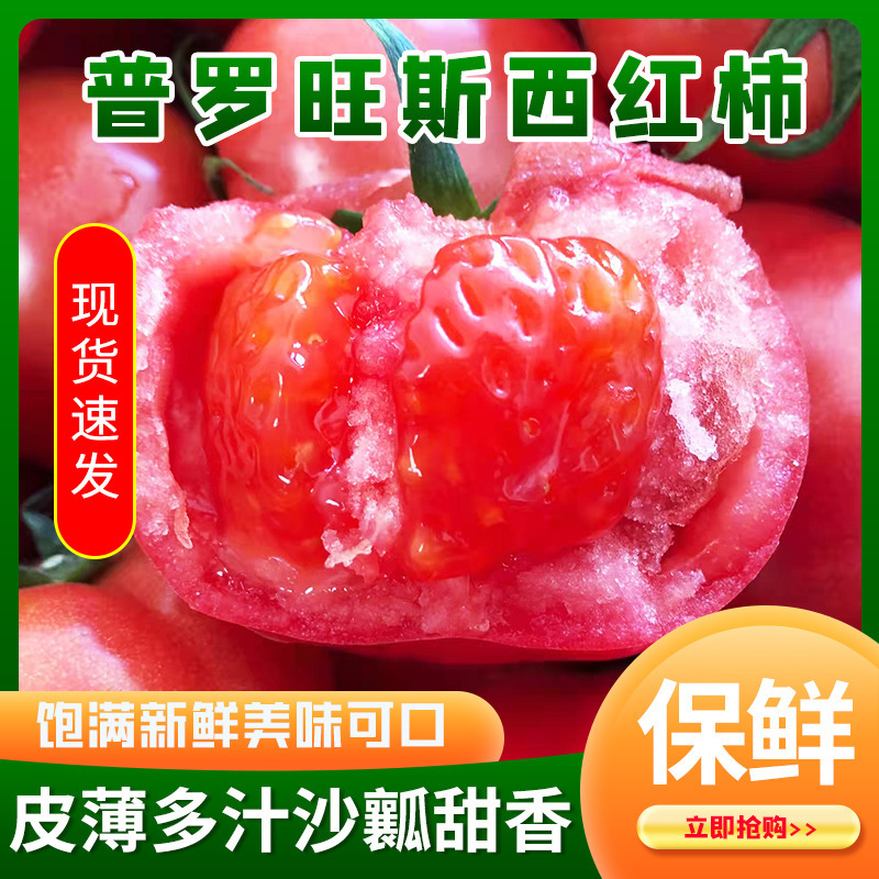 海阳普罗旺斯西红柿 现摘现发沙瓤水果番茄 新鲜蔬菜可生吃西红柿