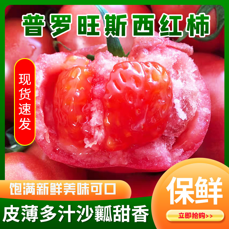Haiyang Provence Tomatoes Now Picked Sand Flesh Wool Powder Tomatoes Fresh Fruits Vegetables Big Tomatoes Tomatoes Haiyang Provence Tomatoes Now Picked Sand Flesh Wool Powder Tomatoes Fresh Fruits Vegetables Big Tomatoes Tomatoes