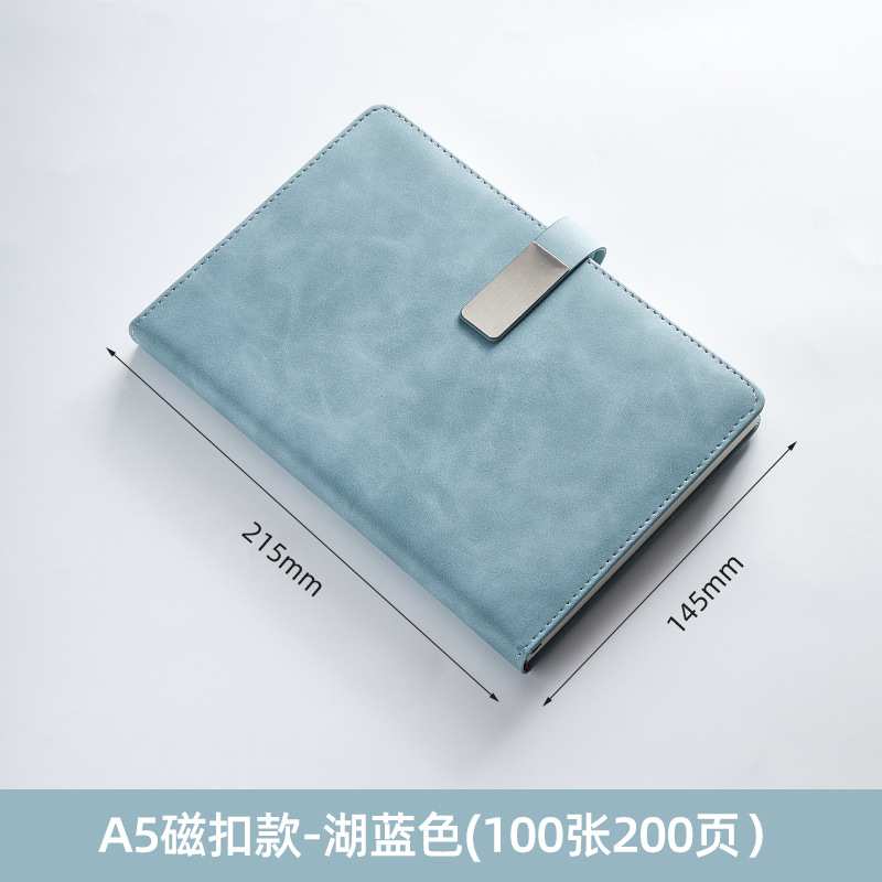 레이크 블루(패치 공제)