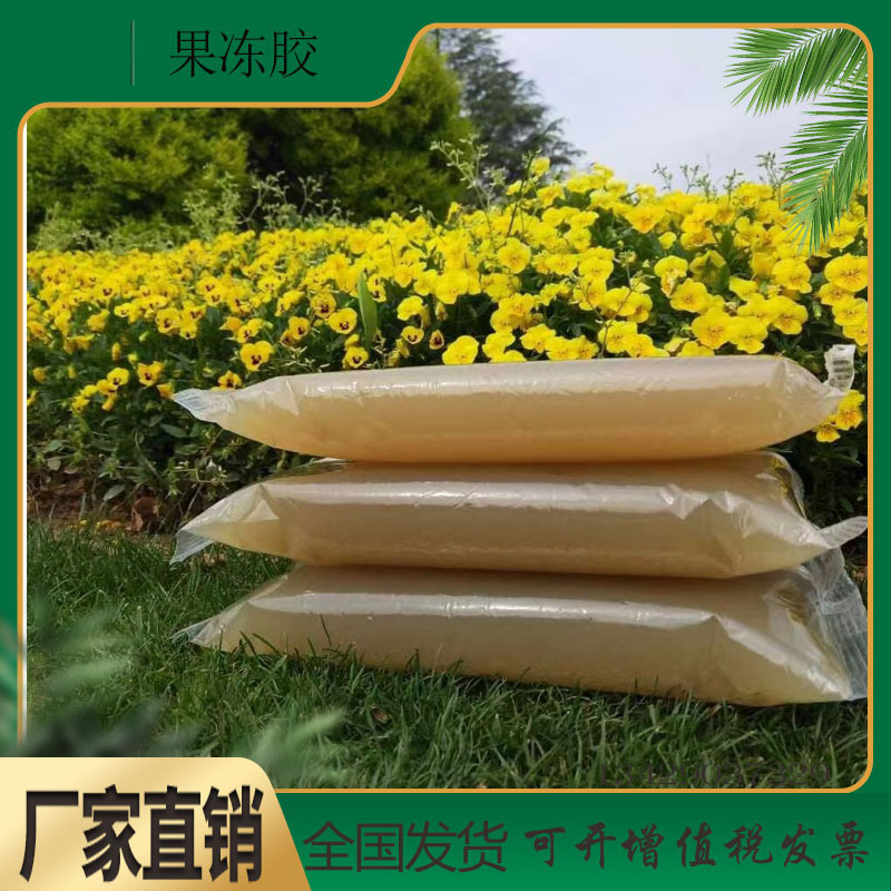 Hot Melt Jelly Glue for Gift Box Packaging, Handmade Glue, Slow-Drying Animal Protein Glue, Fast-Drying Industrial Gelatin Glue