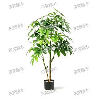 Artificial Money Tree ����lؔ��