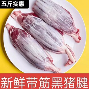 ���r�iС�� 5���i���� ���i������ �o�{�������i������ ��S���]