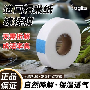 Japan imported aglis glutinous rice paper grafting tape grafting film special self-adhesive rose non-disassembly decomposition tape
