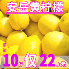 四川安岳黄柠檬新鲜皮薄一级当季香水柠檬奶茶店专用10斤商用水果