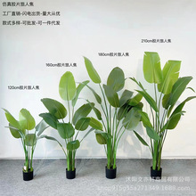 ���s�L������ؔ[���߶��p�ݼҾ��b��辰���l����Gֲ�zƬ���˽�