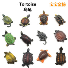 ����������ģ������������~�������{����������裄���ģ�����