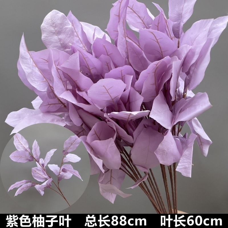 보라색 자몽 잎