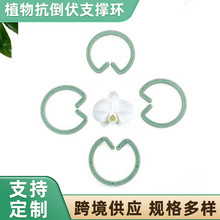 �羳�����@ˇ����ֲ�￹�����Ƅ�֧�έh���ԭh��ֲ�����ϭh�A��