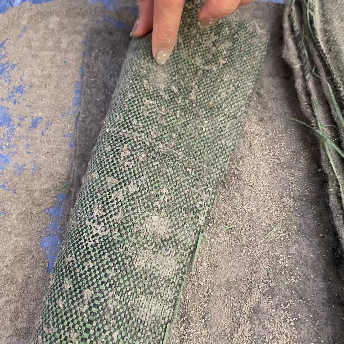 2024-02-25 09:04:26.jpg