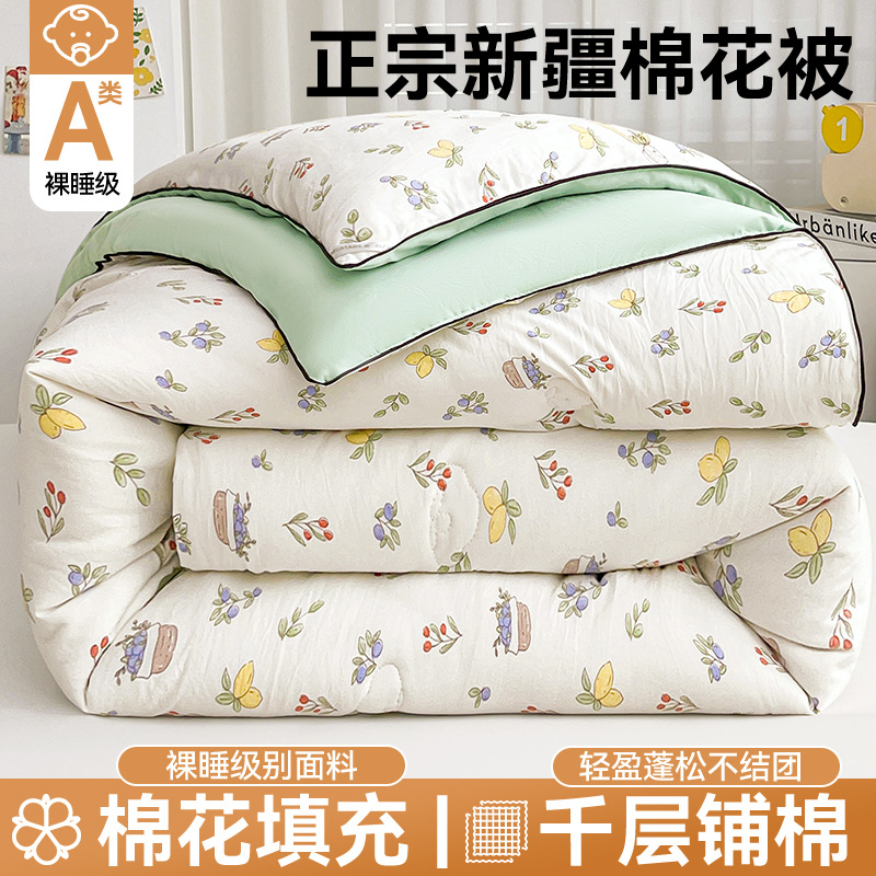 Class a Cotton Quilt Xinjiang Cotton Quilt Cloud Cotton Quilt Core Single Student Dormitory Quilt Four Seasons Maternal and Infant Grade Pure Cotton