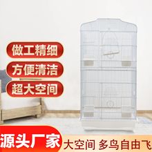 �¿�߼����B�\�W�^�B�\���B���������y�⎧�^�p�\�\�Ӽ�������