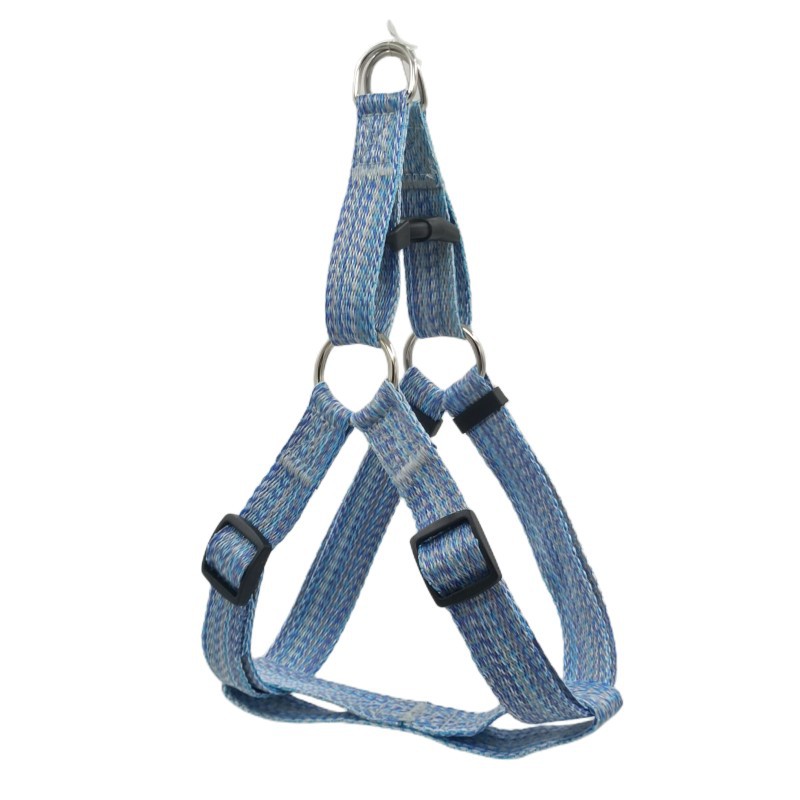 블루 가슴 스트랩