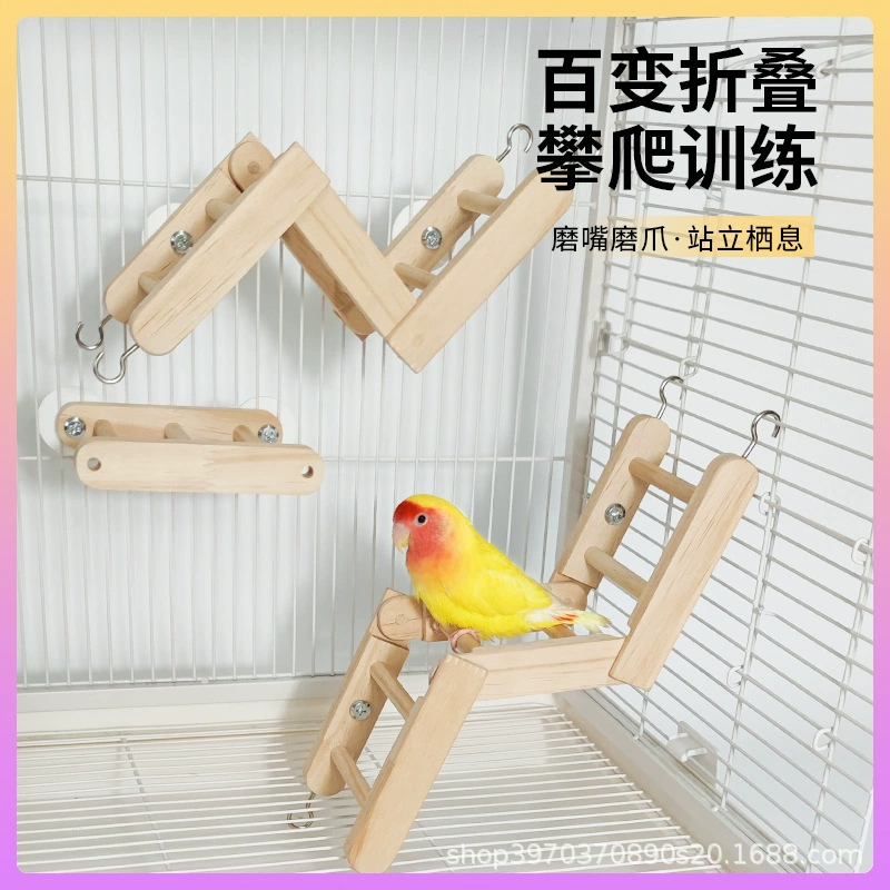 Попугай складная лестница Птица деформация лестница лестница