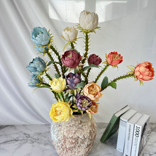 火龙花火龙果装饰仿真花店软装花艺欧式帝王花人造花批发