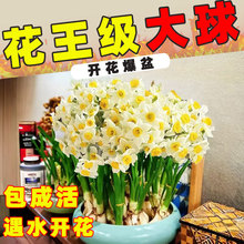 �������ؼ���ˮ�ɷN��ˮ�B������������҃��ⶬ��ˮ��ֲ������