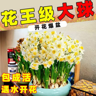 �������ؼ���ˮ�ɷN��ˮ�B������������҃��ⶬ��ˮ��ֲ������