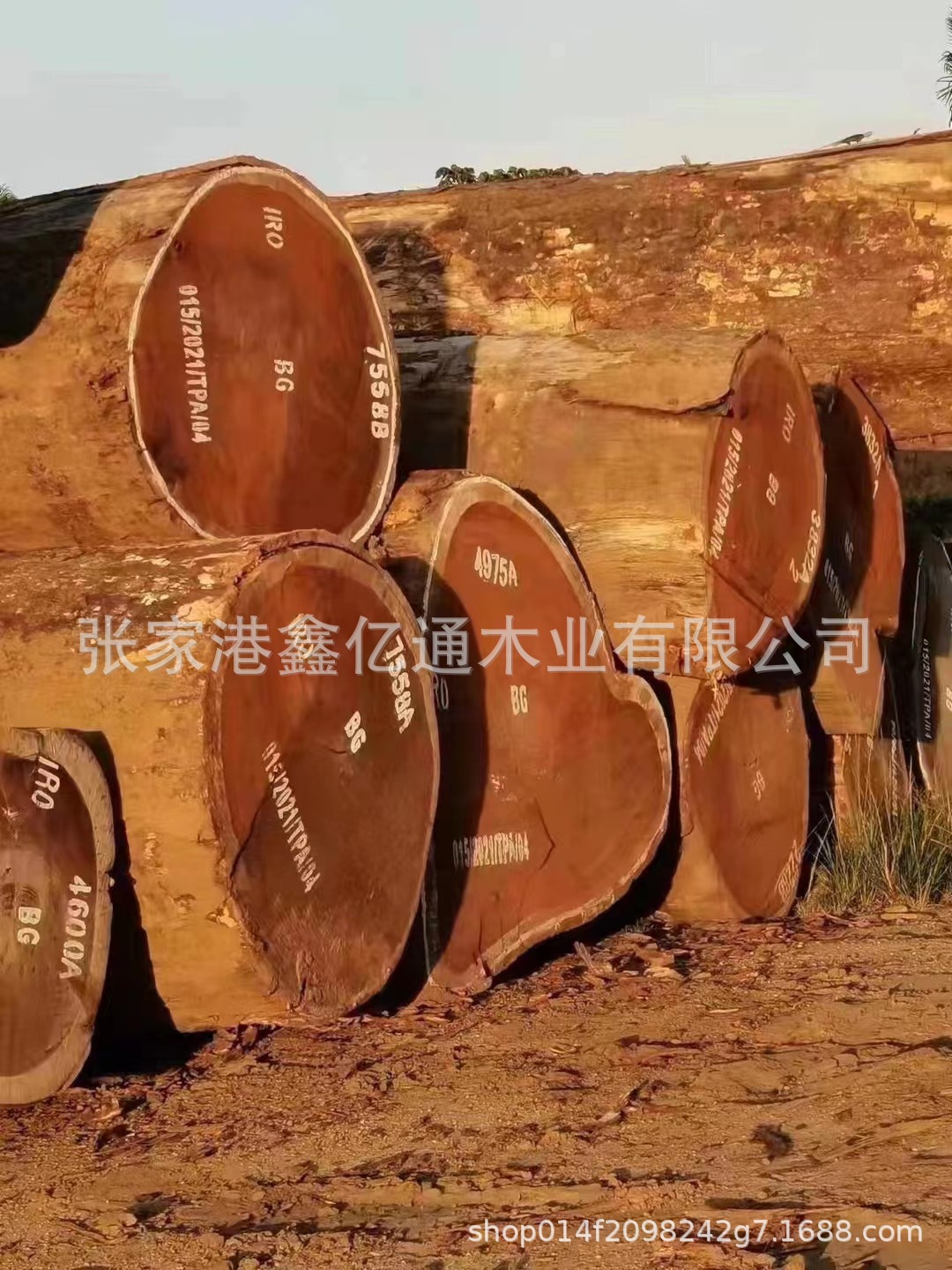 微信图片_20221025095811