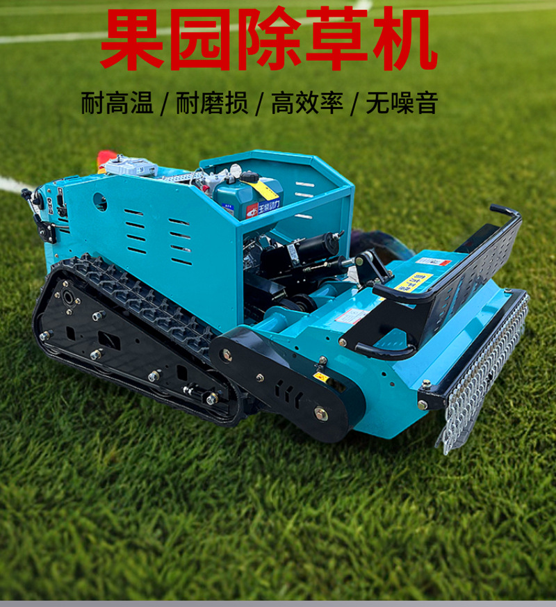 微信图片_20241226161511_副本1